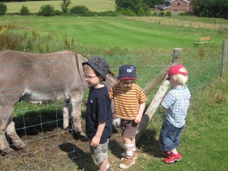  I bambini adorano passare il tempo con i nostri animali 